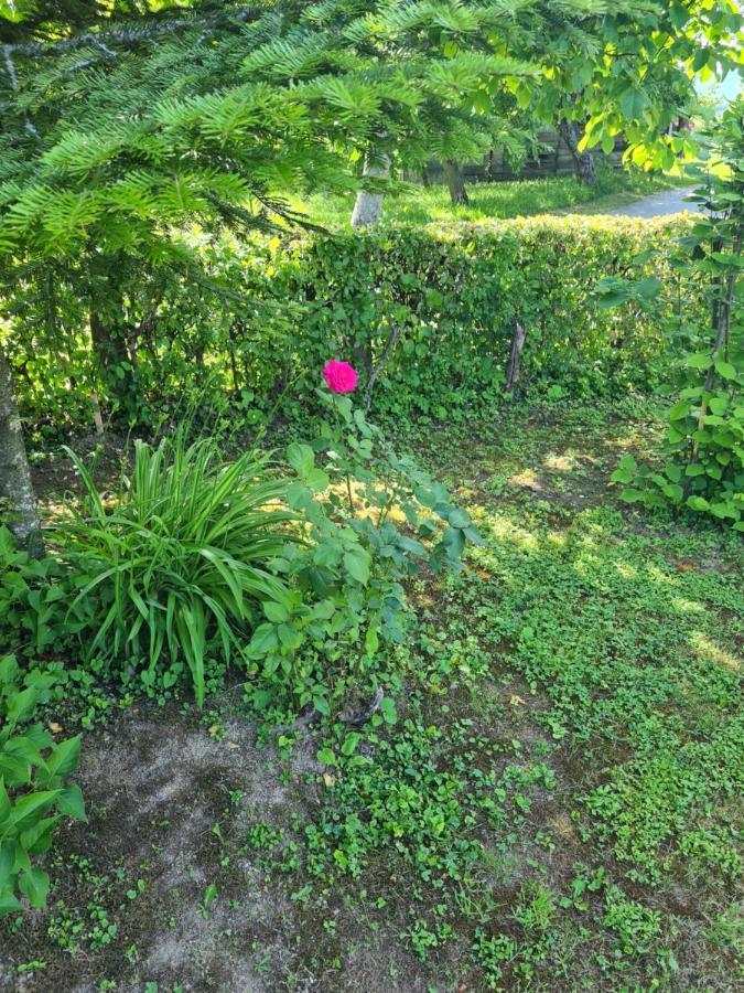 Holiday Home Hizica V Plavem Trnacu Gornja Stubica Eksteriør bilde