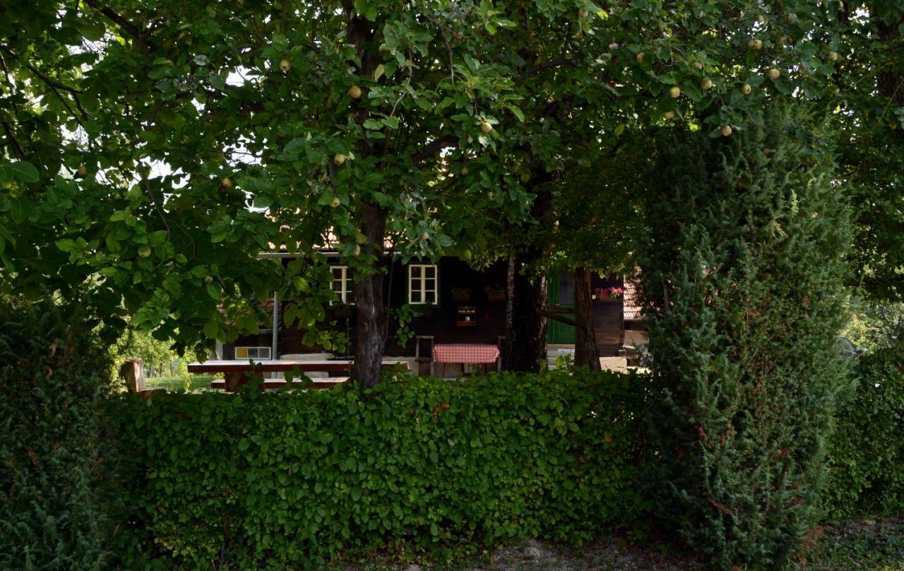 Holiday Home Hizica V Plavem Trnacu Gornja Stubica Eksteriør bilde
