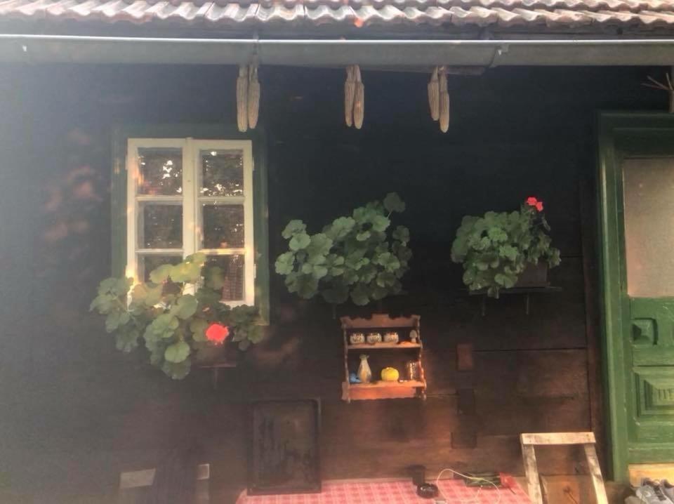 Holiday Home Hizica V Plavem Trnacu Gornja Stubica Eksteriør bilde